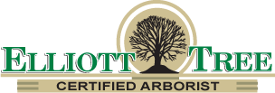 elliot tree logo