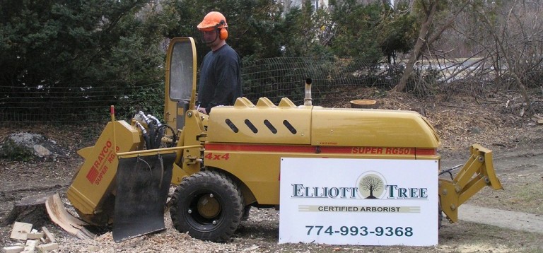Stump Grinding and Removal Worcester MA