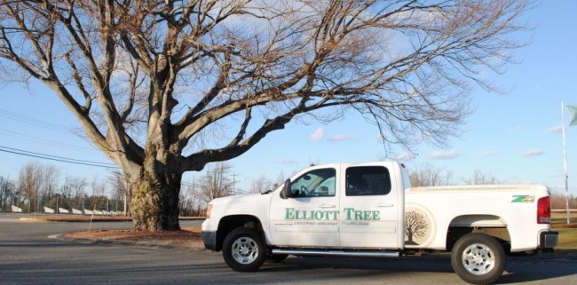 Elliott Tree Service truck under a tree